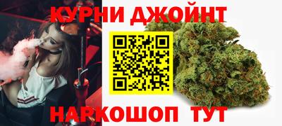 тгк Сланцы