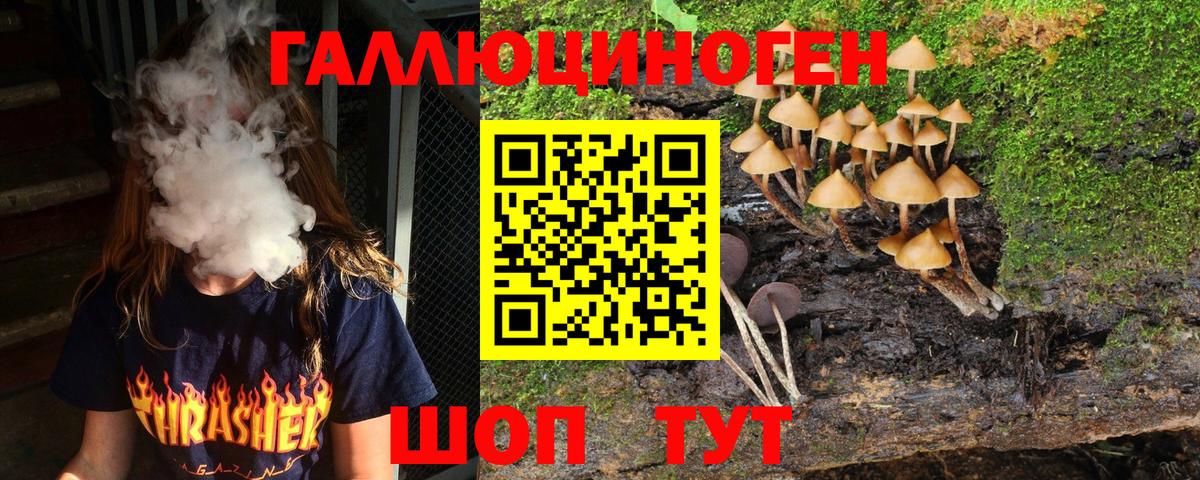 Галлюциногенные грибы Psilocybine cubensis Шахты