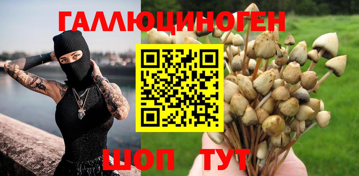 Галлюциногенные грибы Psilocybe  Вход с VPN  Шахты 